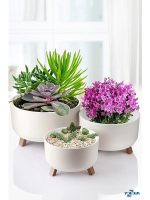 Misda Store Saksı Süzgeçli Ayaklı Delikli Plastik Aranjman Sukulent Saksısı (Fildişi, 3 Boy)