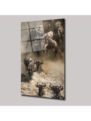 SteelArtDec Bufaloların Göçü - Cam Tablo - DEG0089