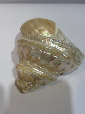 Gemsartdeco Undosa Shell