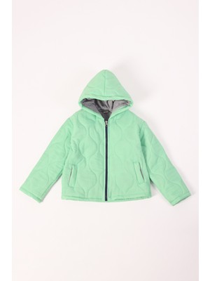 Pollito Desenli Mont