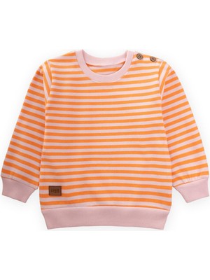 Cigit Çizgili Triko Sweatshirt 0-4 Yaş Pudra Şeftali