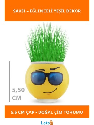 Letsii Eğlenceli Emoji Figürlü Çim Adam Saksı 5,5 cm
