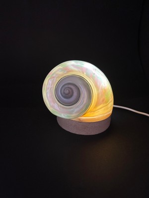 Gemsartdeco NAUTİLUS KABUK GECE LAMBASI