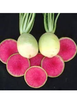 Tohumcumm 100 Adet Tohum Içi Kırmızı Çin Turpu Tohumu Sürpriz Hediye Tohum