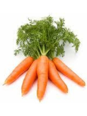 Tohumcumm 100 Adet Tohum Havuç Etli Erkenci Nantes Havuç Tohumu Sürpriz Hediye Tohumludur