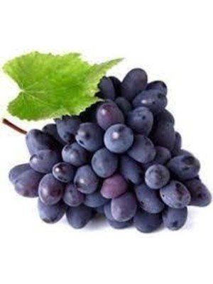 Tohumcumm 20 Adet Tohum Siyah Üzüm Black Magic Asma Ağacı Tohumu Sürpriz Hediye Bonsai Ağacı Tohumu