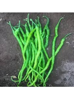 Tohumcumm 25 Adet Tohum Tatlı Sivri Kıl Biber Tohumu Kıl Biberi Tohumu Sürpriz Hediye Tohum Saksı Toprak