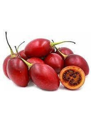 Tohumcumm 100 Adet Tohum Nadir İtalyan Domates Ağacı Tohumu Domates Tohumu Sürpriz Hediye Sebze Tohumludur