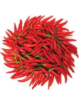 Tohumcumm 50 Adet Tohum Eko Paket Şili Biberi Tohumu Çok Acı Chili Biberi Tohumu Sürpriz Hediye Sebze Tohumudu