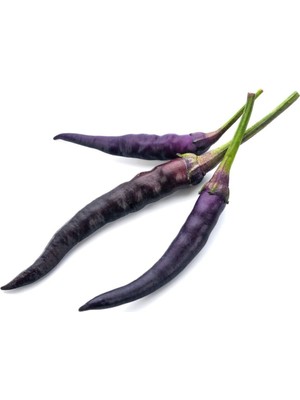 Tohumcumm Acı Mor Cin Biber Tohumu Cin Biber Tohumu 25 Adet Tohum + Sürpriz Hediye Tohum