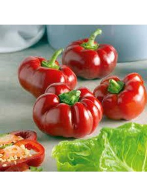 Tohumcumm 30 Adet Nadir Bulunan Domates Biberi Tohumu Sürpriz Hediye Tohum