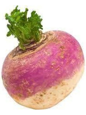 Tohumcumm 50 Adet Tohum Süper Paket Şalgam Turpu Tohumu Turp Tohumu Sürpriz Hediye Tohumludur