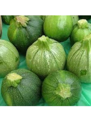 Tohumcumm 50 Adet Tohum Dolmalık Nadir Topak Kabak Tohumu Kabak Tohumu Topak Kabak Tohumu Sürpriz Hediye Tohum