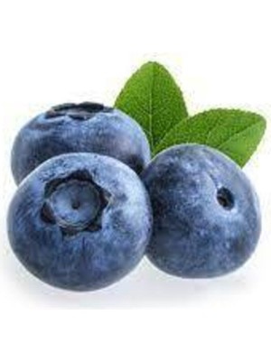 Tohumcumm 10 Adet Tohum Cranberry Tohumu Yaban Mersini Tohumu Turna Yemişi Tohumu Sürpriz Hediye Tohum