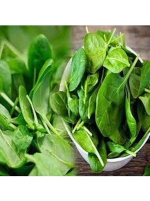 Tohumcumm 150 Adet Tohum Yerli Ispanak Tohumu Sürpriz Hediye Tohum Yeşil Ispanak Tohumludur