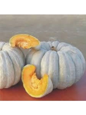 Tohumcumm 100 Adet Tohum Organik Meşhur Kestane Kabağı Tohumu Kabak Tohumu Sürpriz Hediye Tohumludur