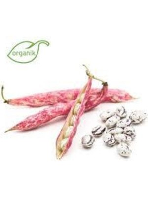 Tohumcumm 60 Adet Tohum Barbunya Sırık Fasulye Tohumu Sürpriz Hediye Tohum Yeni Mahsül Barbunya Tohumuldur