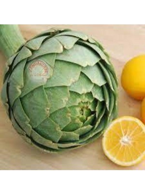 Tohumcumm 30 Adet Tohum Enginar Tohumu Geleneksel Tohumu Sürpriz Hediye Tohumludur