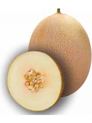 Tohumcumm 100 Adet Tohum Manisa Kırkağaç Kavunu Tohumu Bal Kavun Uzun Ömürlü Kavun Sürpriz Hediye Tohumludur