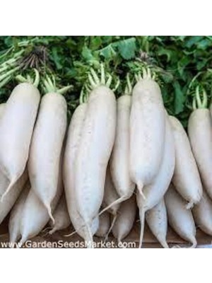 Tohumcumm 100 Adet Tohum Nadir Beyaz Uzun Turp Tohumu Beyaz Çin Turpu Tohumu Sürpriz Hediye Tohumlu