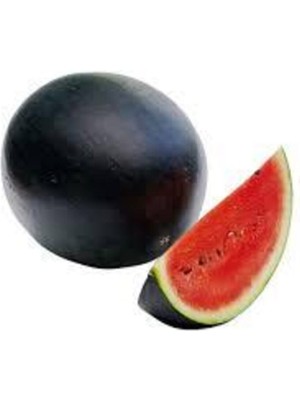 Tohumcumm 40 Adet Tohum Meşhur Halep Karpuzu Tohumu Siyah Halep Karası Karpuz Tohumu Sürpriz Hediye Tohum