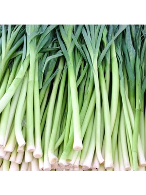 Tohumcumm 200 Adet Tohum Köy Tohumu Bursa İnegöl Pırasa Tohumu Prasa Tohumu Sürpriz Hediye Sebze Tohumludur