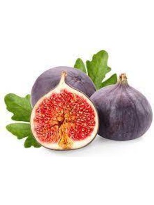 Tohumcumm 10 Adet Tohum Siyah İncir Tohumu Yemiş İncir Bal İncir Tohumu Sürpriz Hediye Tohum