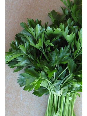 Tohumcumm 100 Adet Tohum Maydanoz Tohumu Geniş Yapraklı Maydonoz Tohumu Saksı Toprak Sürpriz Hediye Tohumlu