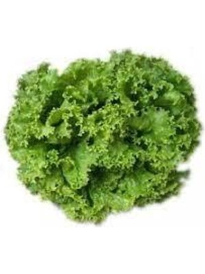 Tohumcumm 100 Adet Tohum Samba Kıvırcık Marul Tohumu Sürpriz Hediye Sebze Tohumu