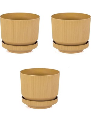 Plastik Tabaklı Saksı 3 Adet Hardal, 1,7lt