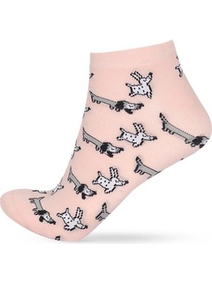 Katia & Bony 3'lü Paket Kadın Köpek Desenli Step Çorap