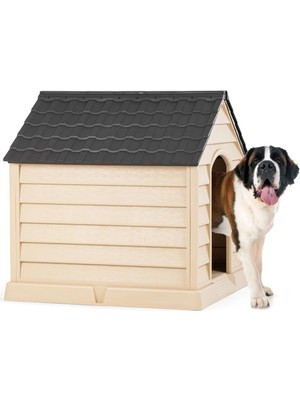 Büyük Köpek Kulübesi