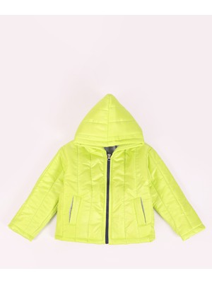 Pollito Desenli Mont