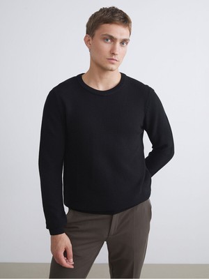 LC Waikiki Siyah Bisiklet Yaka Kareli Erkek Triko KAZAK_8684685313734