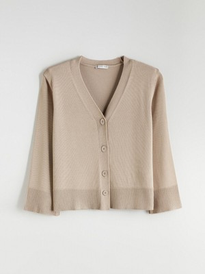 LC Waikiki Yeni Sezon V Yaka Kadın Triko HIRKA_8684689573851