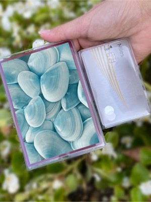 Nurdic Deniz Kabukları Desenli Universal Şeffaf Pasaport Kılıfı Model Tüm Ülke Pasaportlarına Uygun