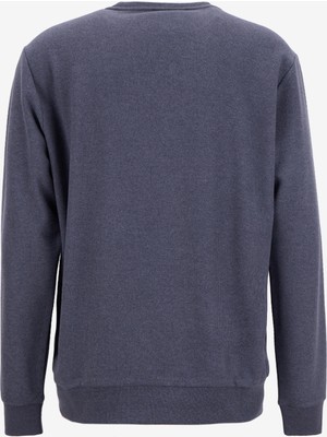 Limon Bisiklet Yaka Düz Örgü Desenli Gri Erkek Sweatshırt MML5WM-SWT9518