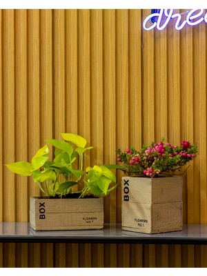 Greenmall Clota Saksı 2'li Set