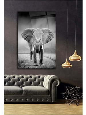 AR AJANS KANVAS TABLO Gri Tonlarda Fil Dekoratif Cam Tablo