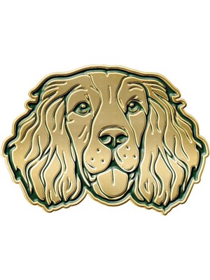 Barbour Spaniel Dog Ceket Rozeti GN11 Green
