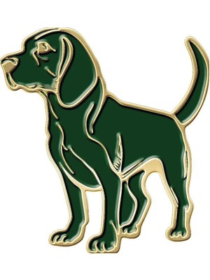 Barbour Beagle Rozet GN13 Sage