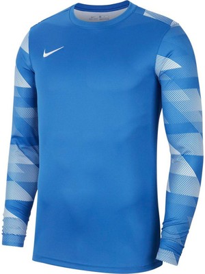 Nike Dri-Fıt Park Iv Erkek Kaleci Forması CJ6066-463