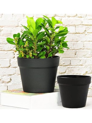 Yalı Saksı 2'li Set – 23X22 cm (6 Litre) & 19X17 cm (3 Litre) Dayanıklı Plastik Saksı