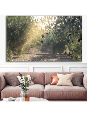 Zeytin Dalı Hd Dijital Baskı Yatay Kanvas Tablo Oturma Odası Antre Işyeri Dekorasyonu