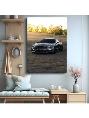 Ford Mustang Shelby GT350 Yarış Kanvas Tablo Amerikan Spor Otomobil Çizgili Tablo