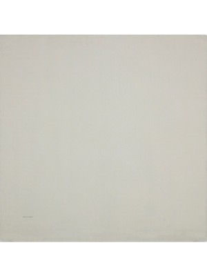 Pierre Cardin 100X100 K.pierre Cardın Logolu Ipek Koton Jakar