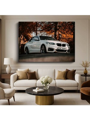 Bmw 2 Serisi Sonbahar Kanvas Tablo Manzarası Spor Coupe Alman Tablo
