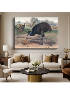 John Gould Avustralya Emusu Kuş Resmi Kanvas Tablo Duvar Tablosu Dekoratif Ressam Tablosu