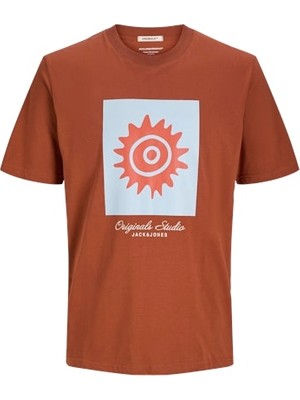 Ellesse Jack Jones Erkek Kiremit Pamuklu Tişört 12277220