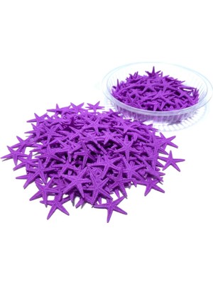 Stonechem Mini Yıldız Mor – 100 Adet Dekoratif Deniz Yıldızı Figürü (Epoksi, UV Reçine ve Marin Temalı Takı Tasarımı İçin Süsleme Malzemesi)